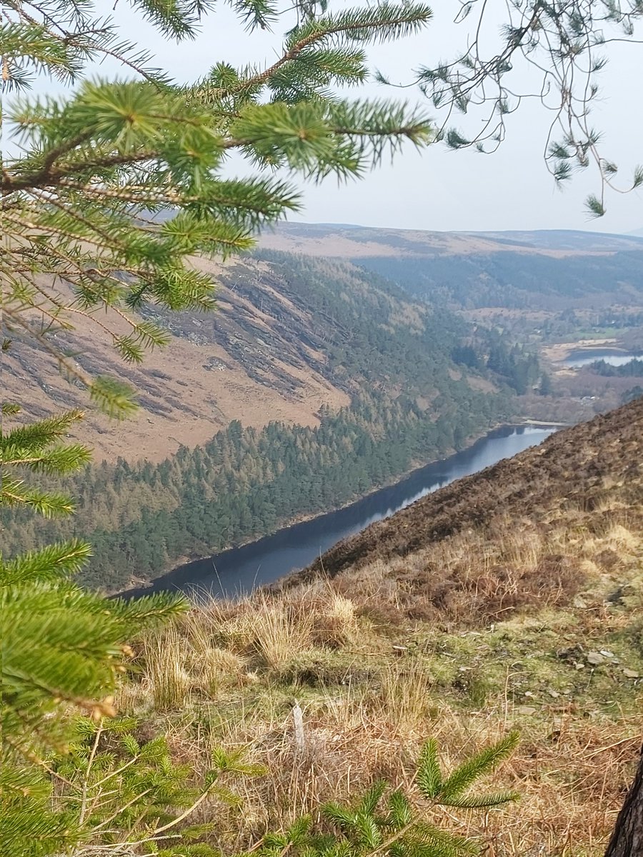 RyvalVFX (COMMS OPENED) tweet media