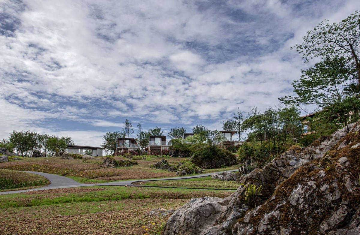 Harun Dogan tweet media