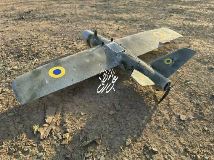 Ethan Levins 🇺🇸 tweet media