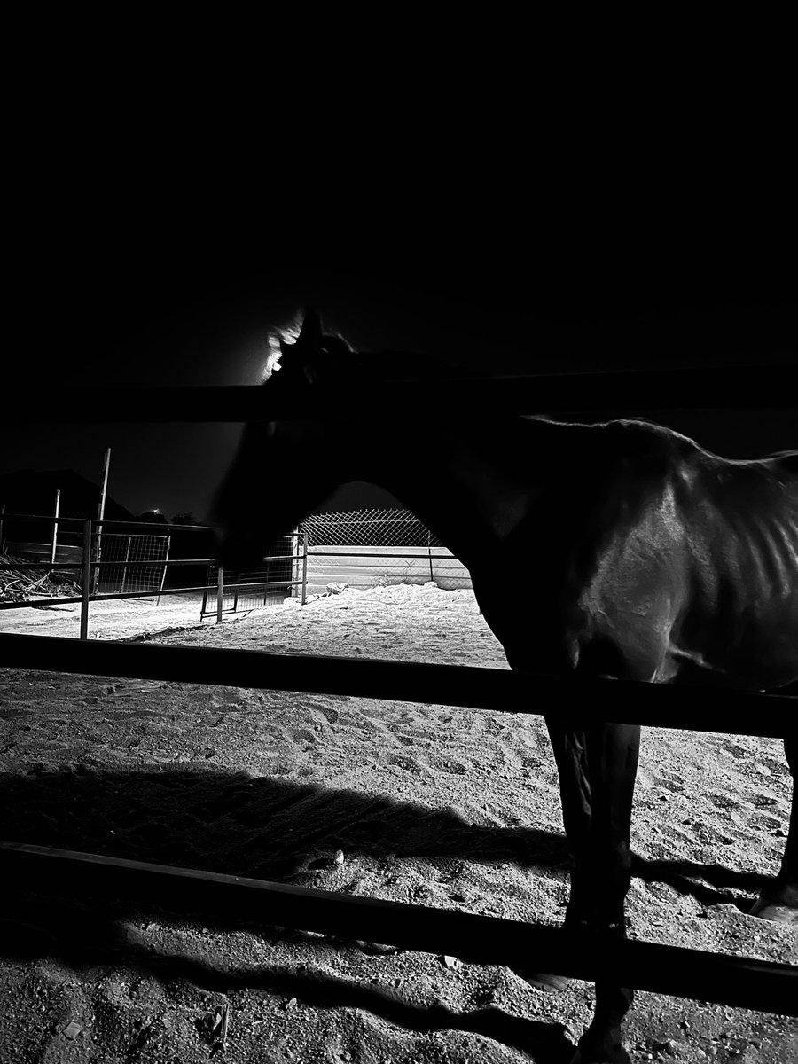 The Man who wins % tweet media