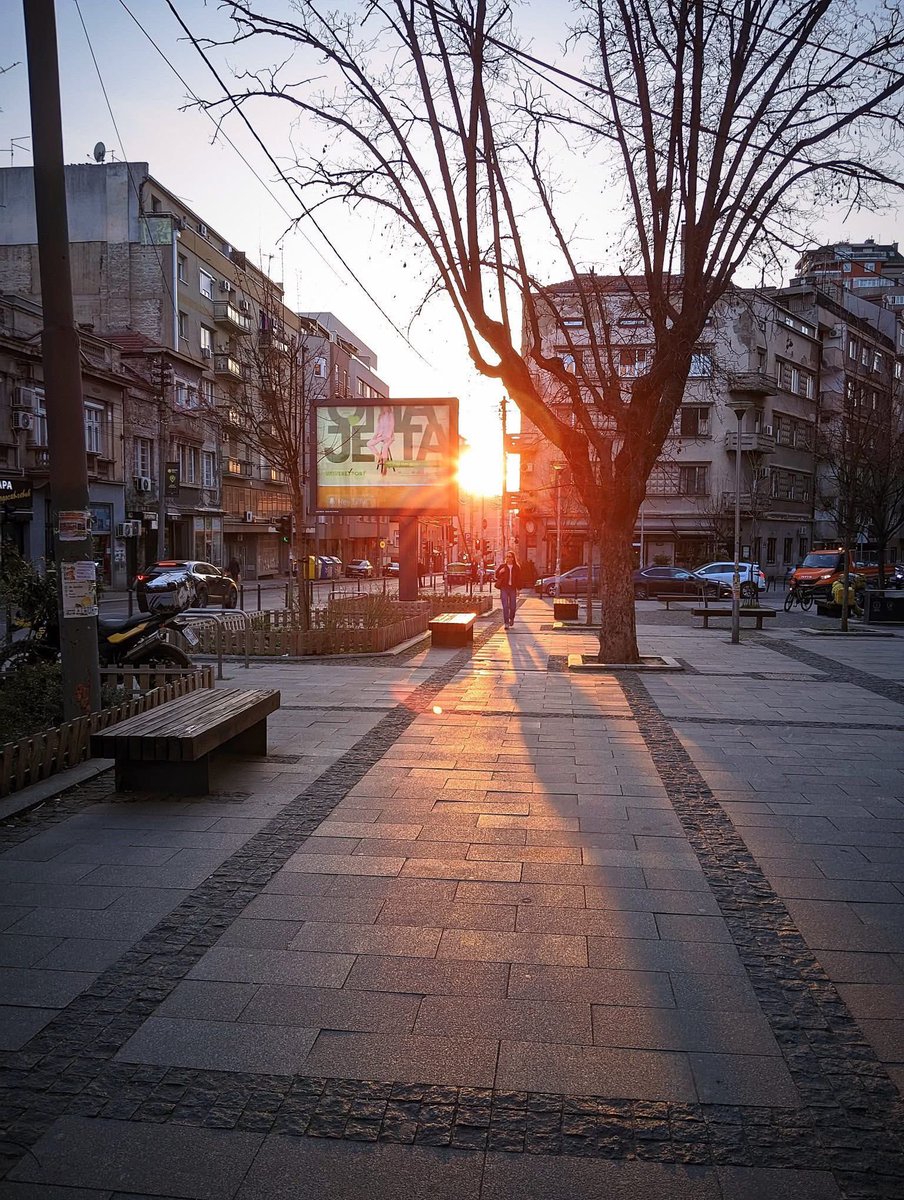 Noblesse oblige...🍀 tweet media