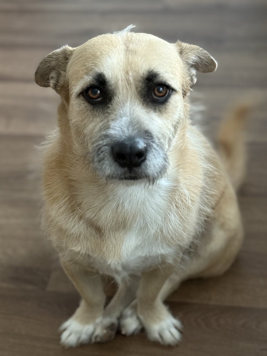 Kristen Meriwether tweet media