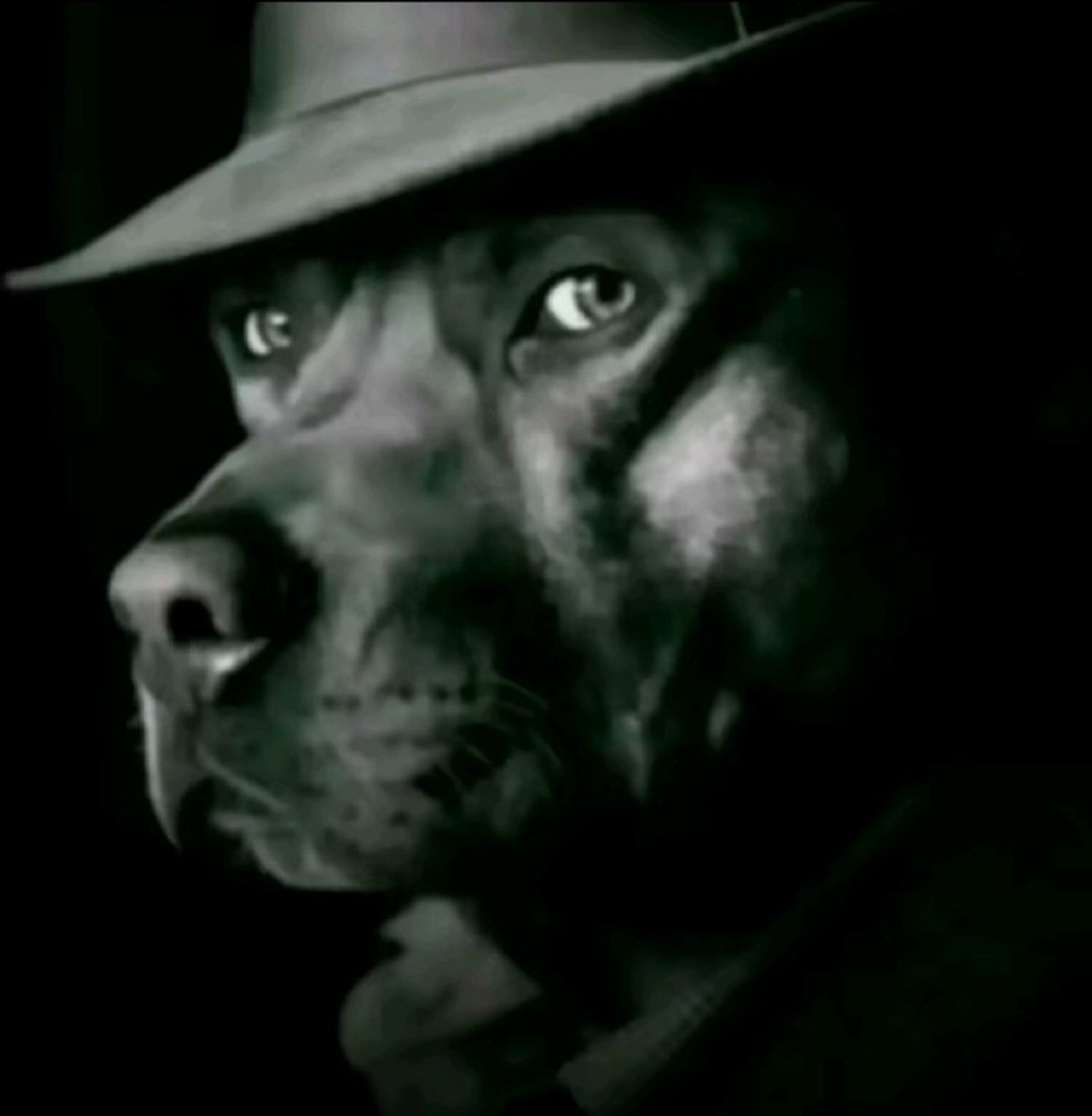 InUrDreams tweet media