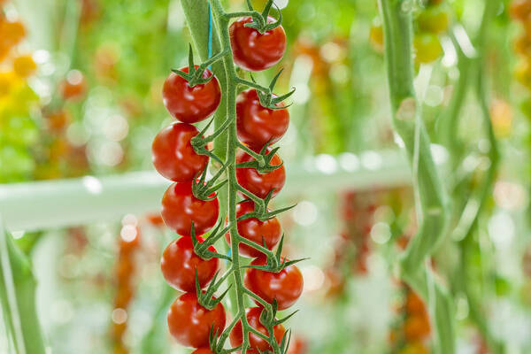 Anne Ferrie tweet media