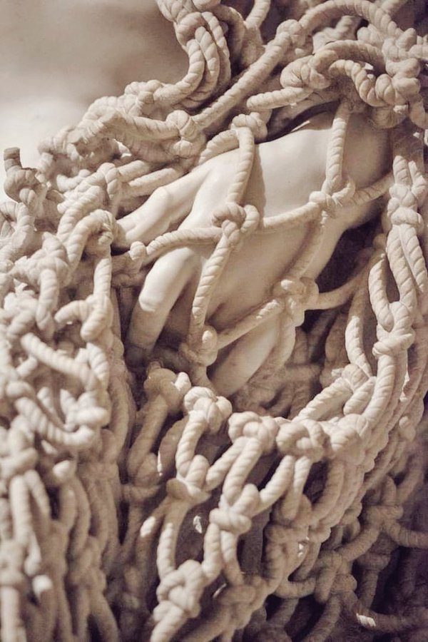 James Lucas tweet media