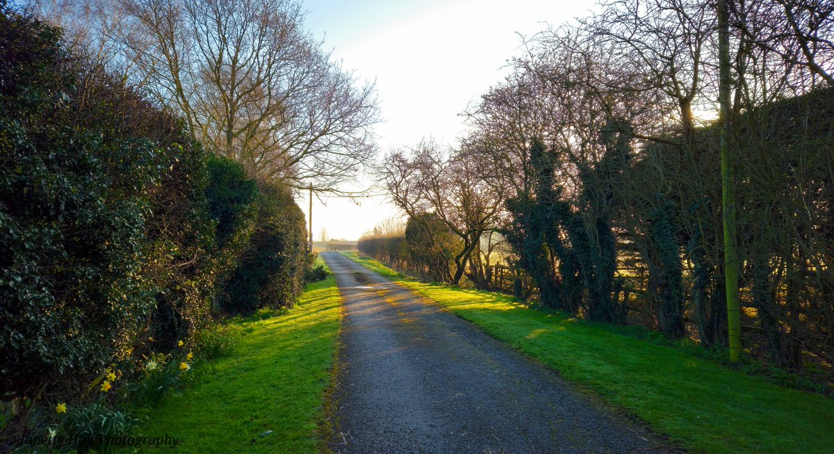 Janette Hall86 tweet media