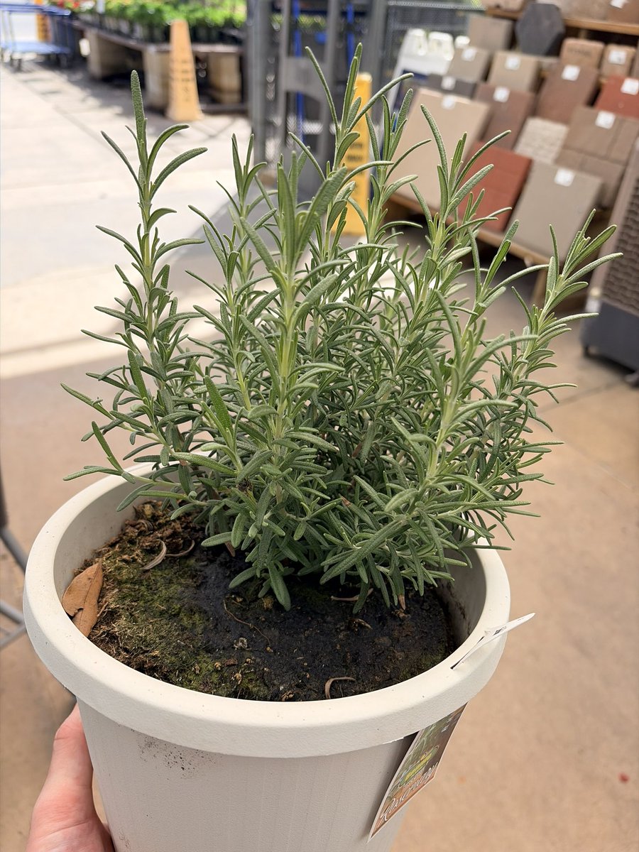 I’m Nerdcore ✈️ TBD tweet media