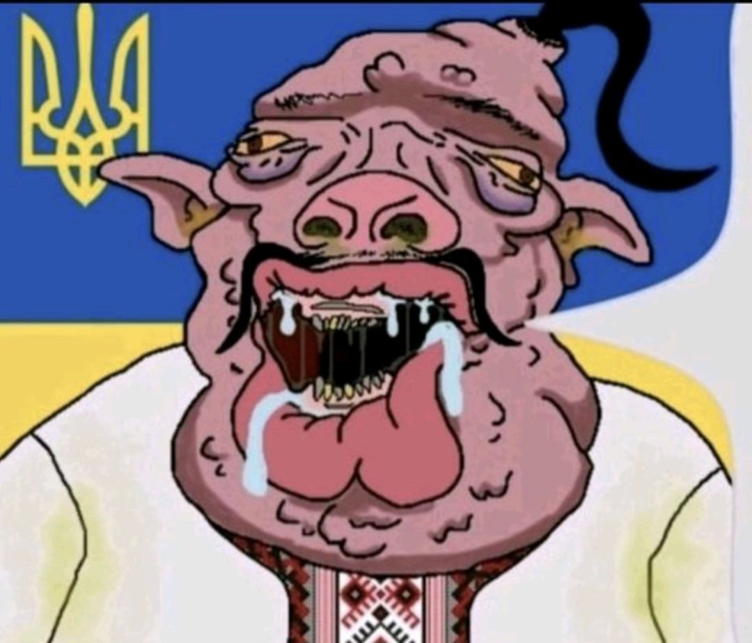 pansir s2m🇨🇵 tweet media