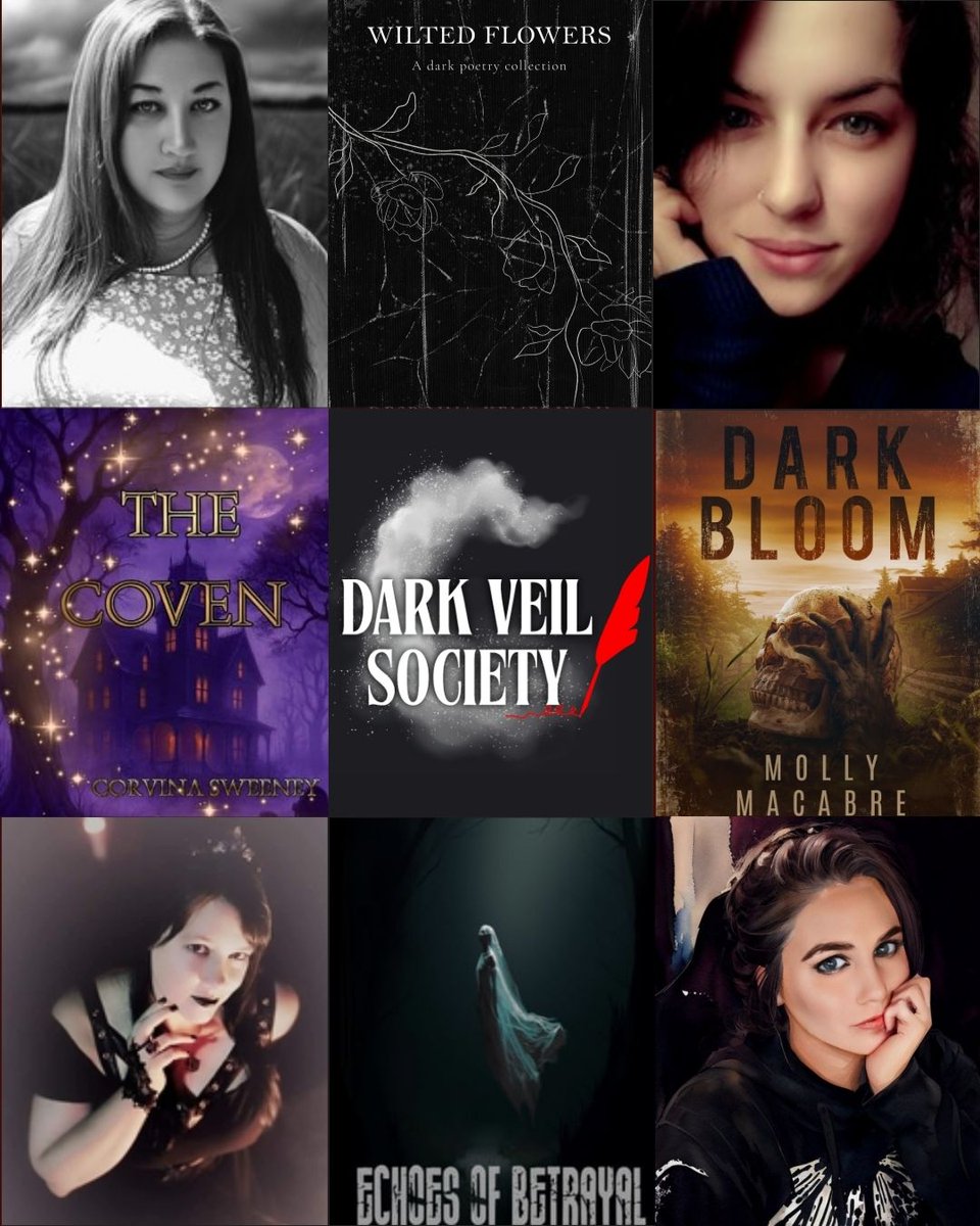 The Dark Veil Society tweet media