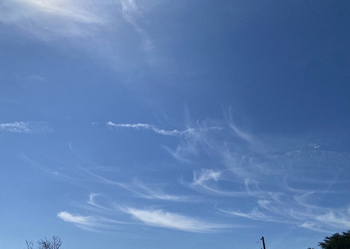 Springtucky tweet media