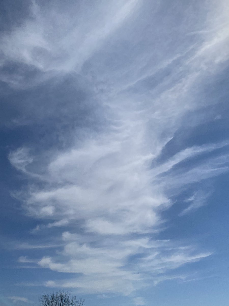 Springtucky tweet media