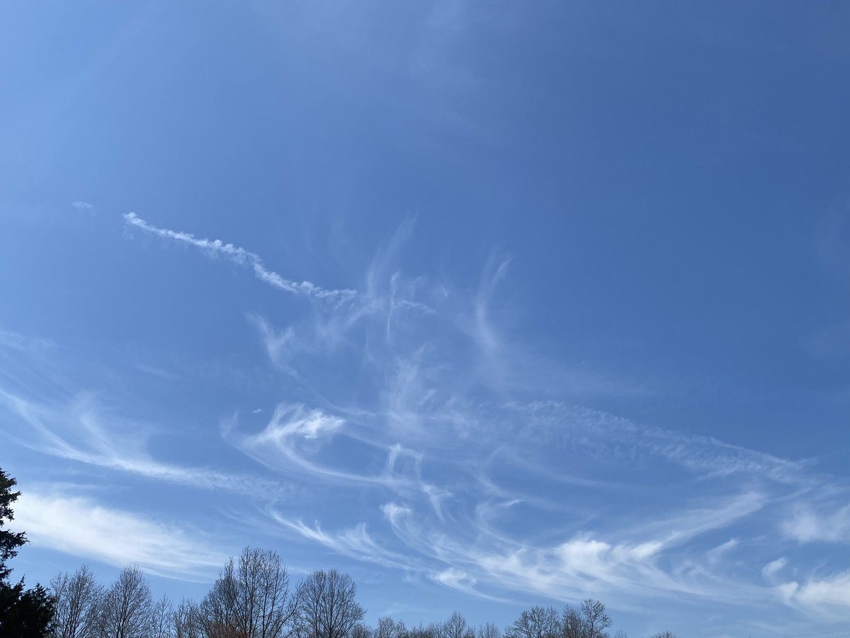 Springtucky tweet media