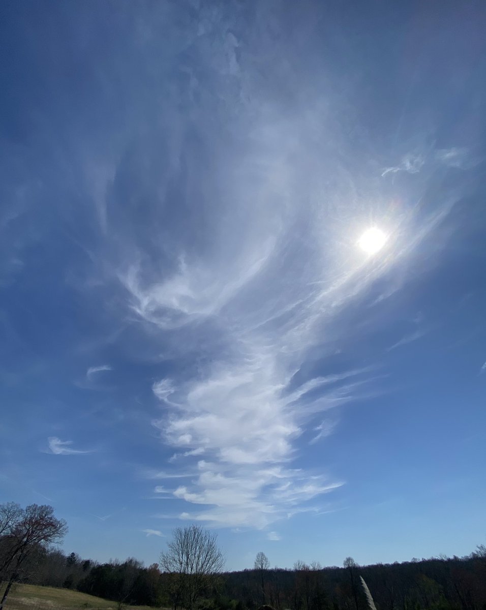 Springtucky tweet media