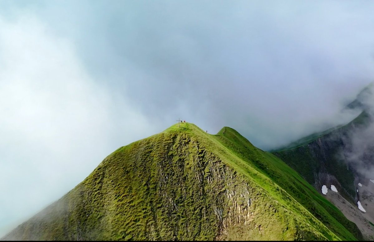 Cui Bono tweet media