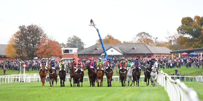 🐦Pigeon🐎Island🐦 tweet media