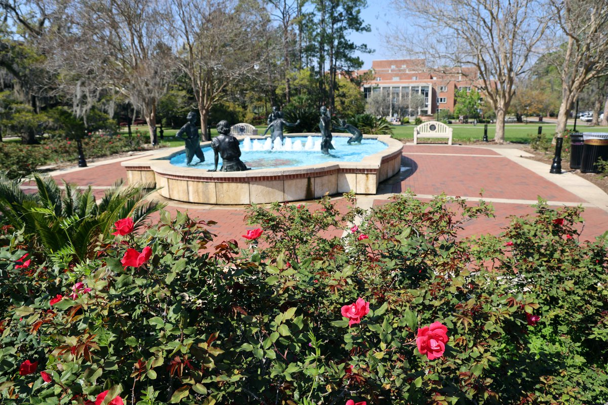 Florida State University tweet media