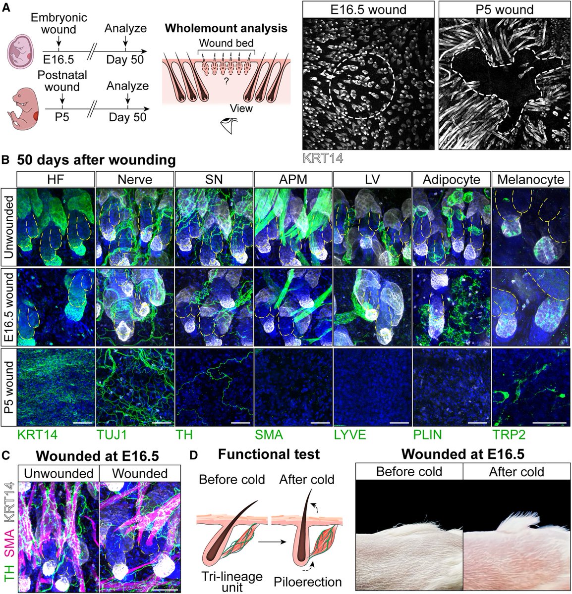 Waggoner Lab tweet media