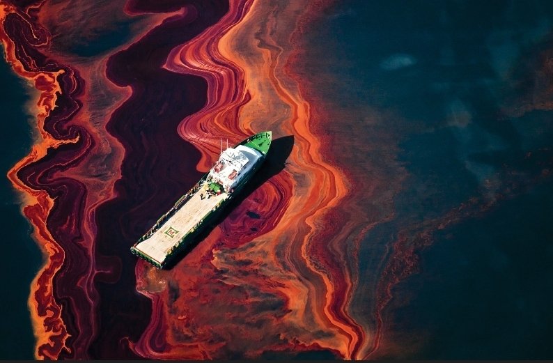 Joe F Spaulding 🦉 tweet media