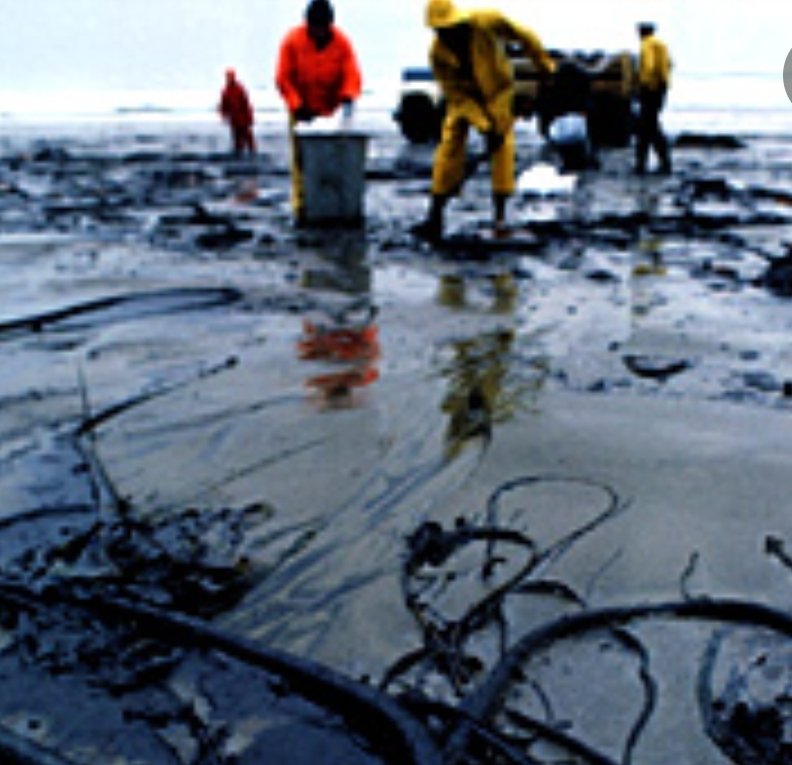 Joe F Spaulding 🦉 tweet media