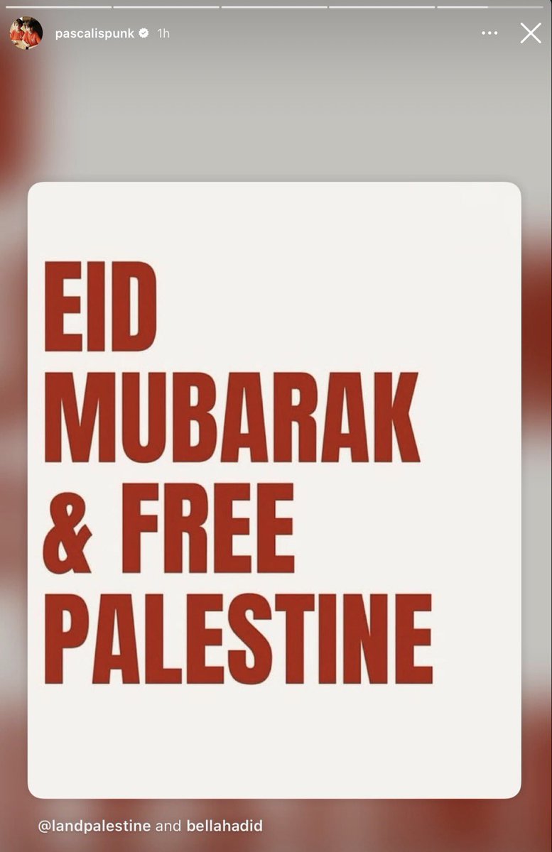 Pajarita tweet media