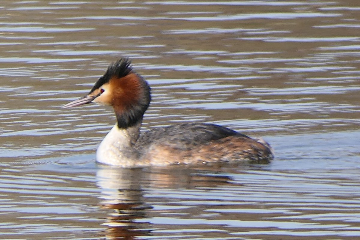 𝓡𝓮𝓿𝓭 𝓓𝓪𝓿𝓲𝓭 𝓐𝓽𝓴𝓲𝓷𝓼𝓸𝓷 tweet media