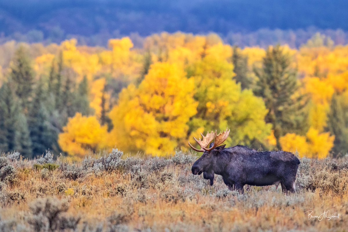 Fall in the Tetons