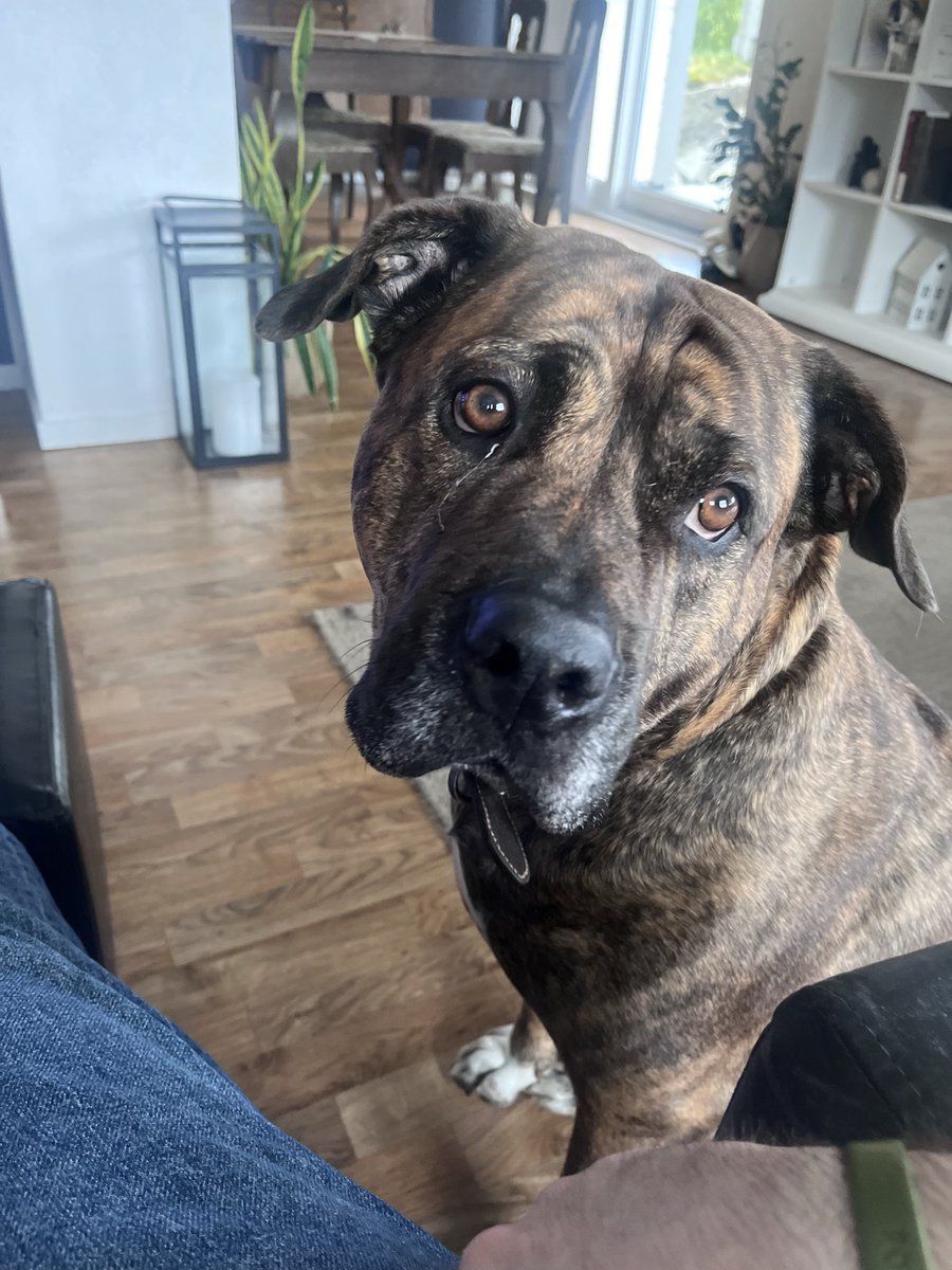 Cpt VooDoo tweet media