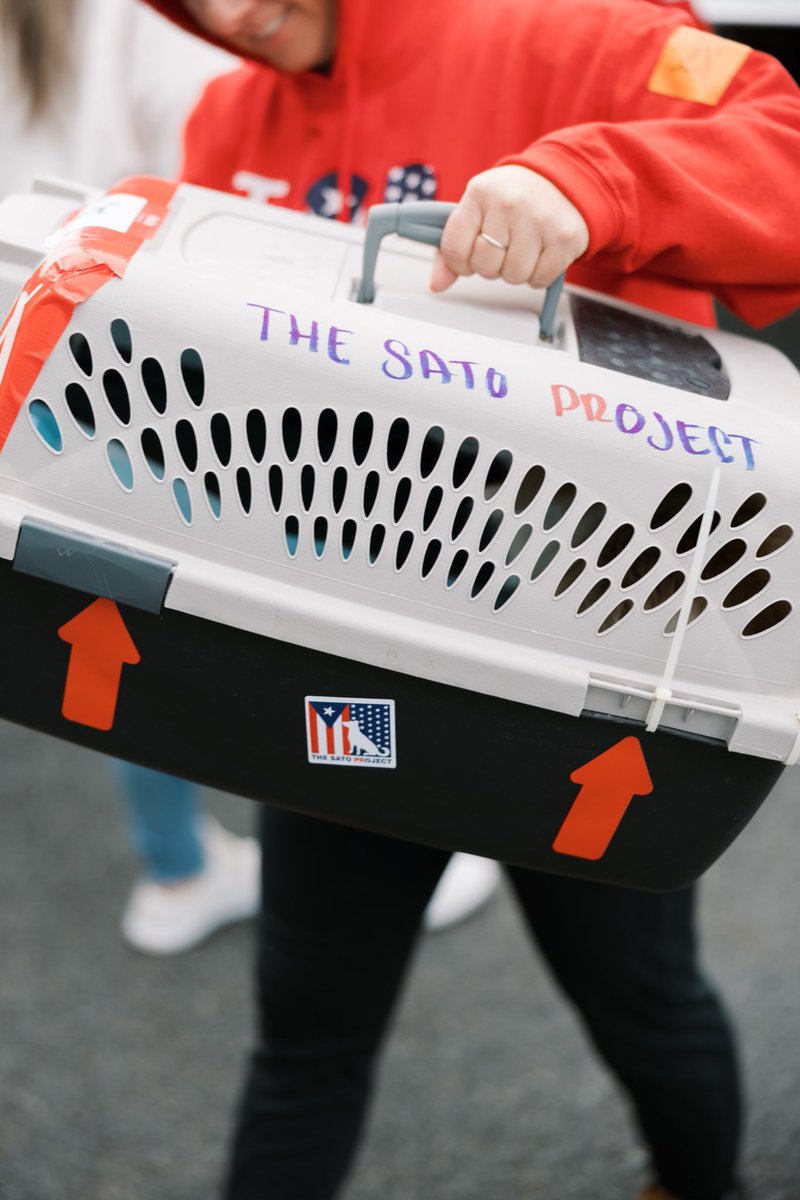 TheSatoProject tweet media