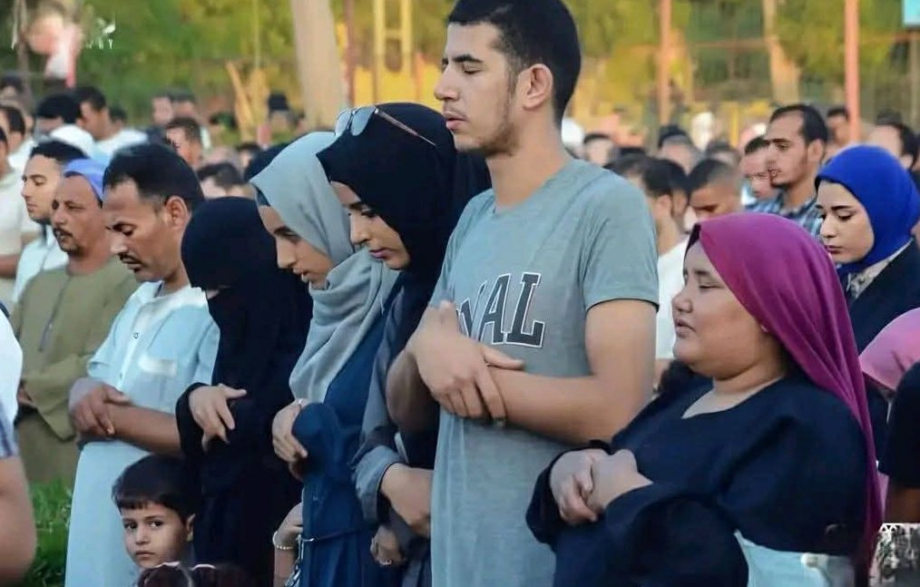 Mahdi Baladi tweet media