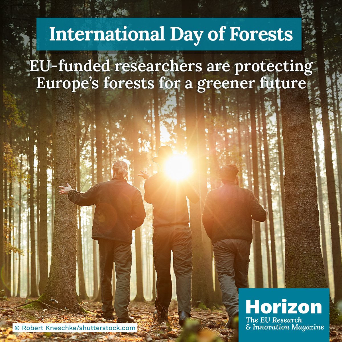 Horizon Europe 🇪🇺 tweet media