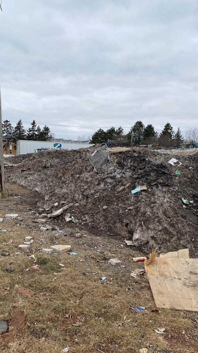 Barb McKenna tweet media