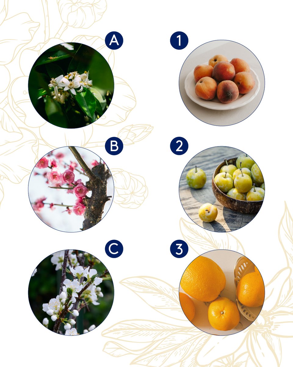mermeladabebe's tweet photo. Celebramos la llegada de la #primavera 🌷 con un #juego muy florido (cómo no 😊). ¿Sabrías decirnos cuál es la #flor de cada #fruta?
En nuestras confituras encontrarás la mejor variedad de cada una y el mejor #sabor.
#Hechoconmimo #frutaseleccionada https://t.co/IbV4Bu2itO