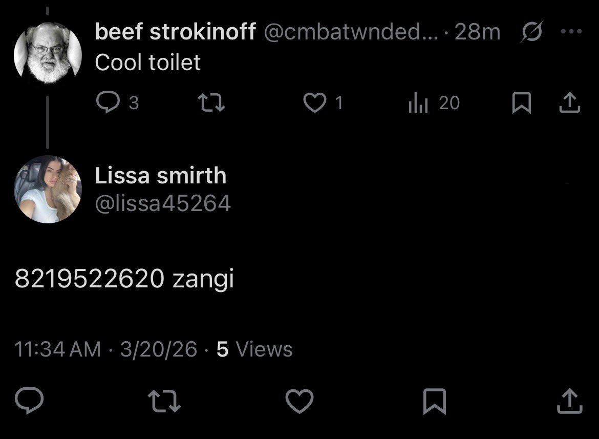 beef strokinoff tweet media