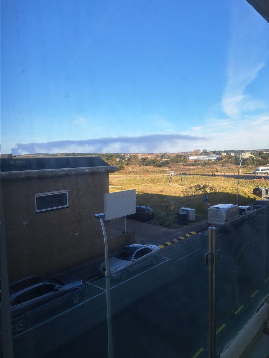 Gerda Verboom tweet media