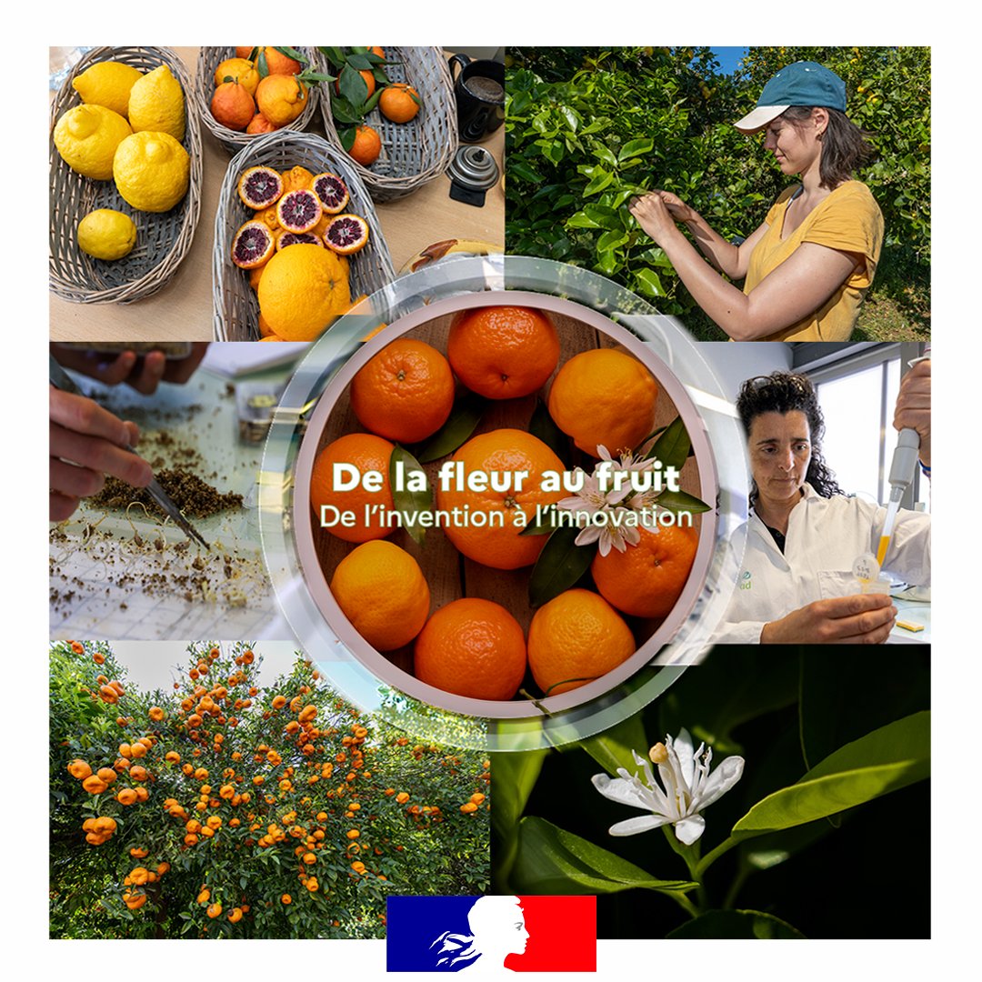 Image de Préfet de Corse préfet de Corse-du-Sud - 📅 𝗝𝗲𝘂𝗱𝗶 𝟮 𝗮𝘃𝗿𝗶𝗹 𝟮𝟬𝟮𝟲
📍 École primaire Marina d’Osari – Santa Maria Poggio

À traver