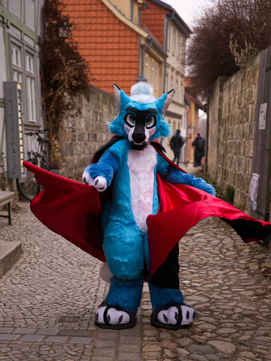 🇧🇷 Malphs tweet media