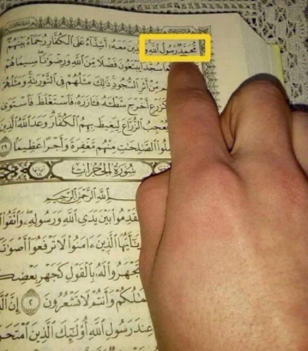 Halal Nation ☪︎ tweet media