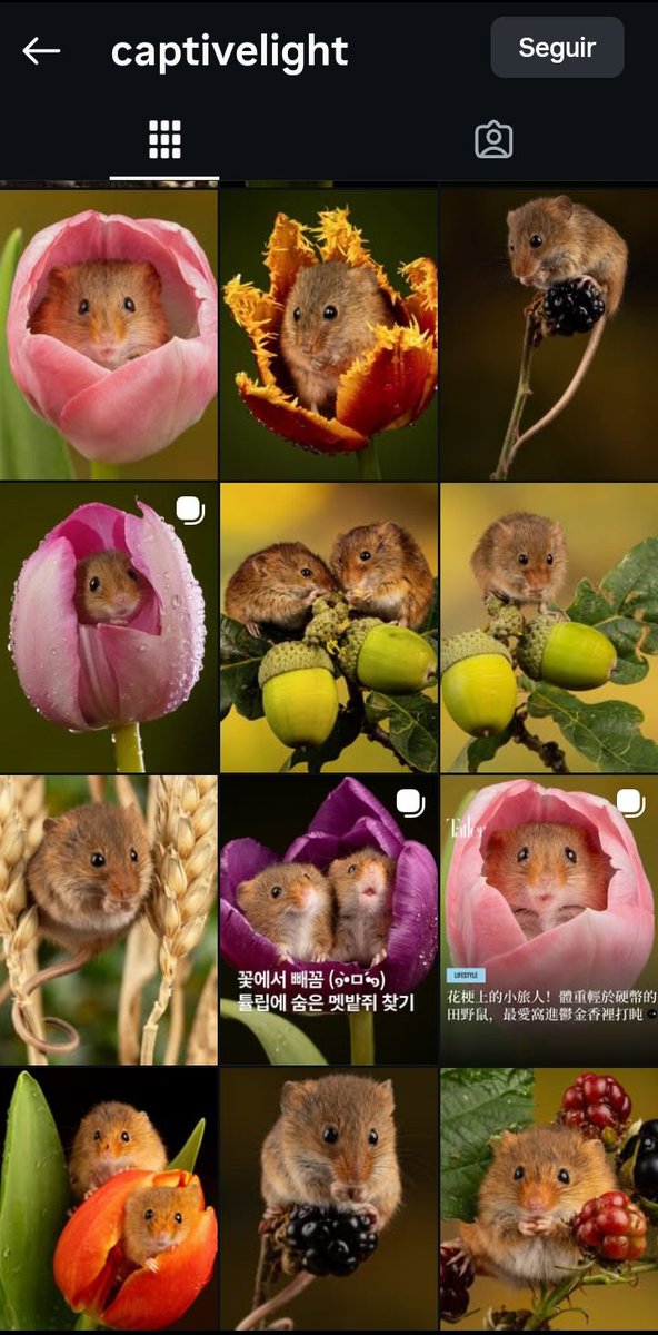 lesbobices's tweet photo. encontrei o instagram do fotógrafo que tirou essas fotos e estou encantada https://t.co/a5ERUHnsUP