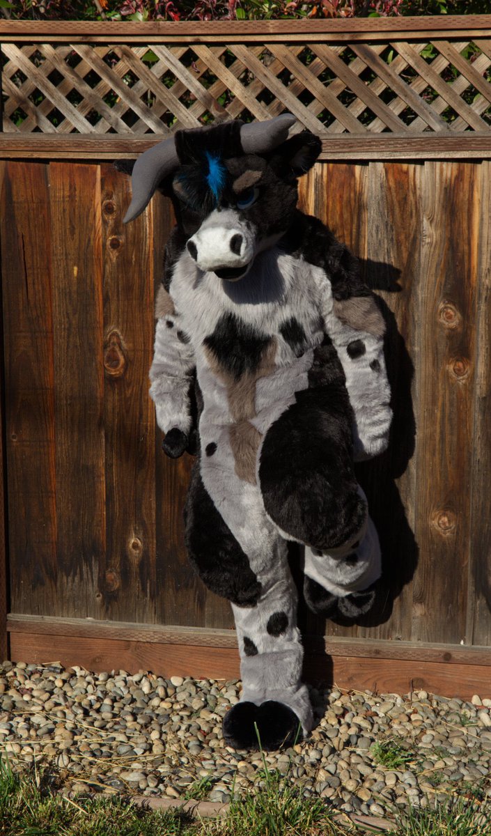 Flankbull.bsky tweet media