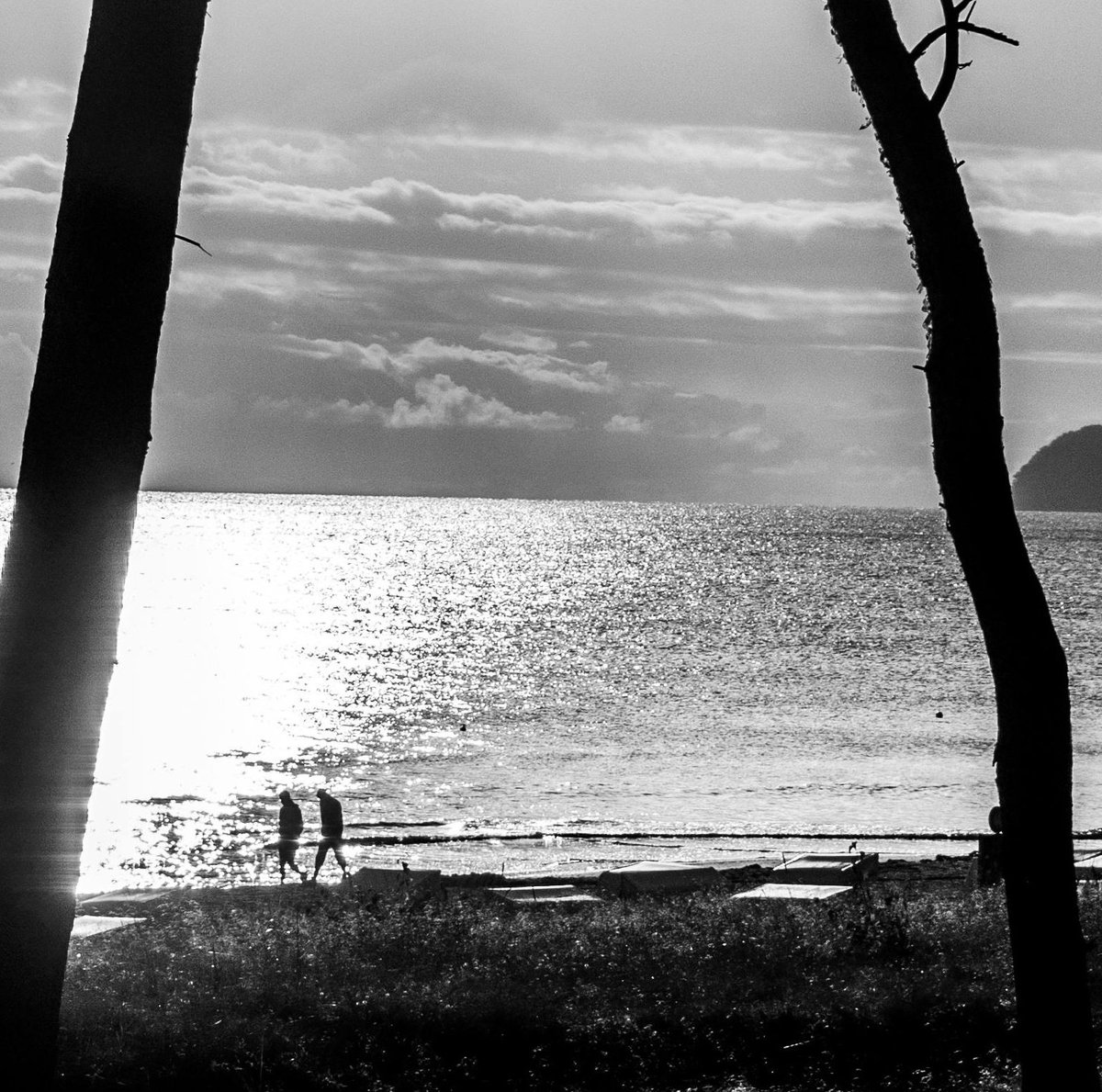 flo 🌺☀️ tweet media