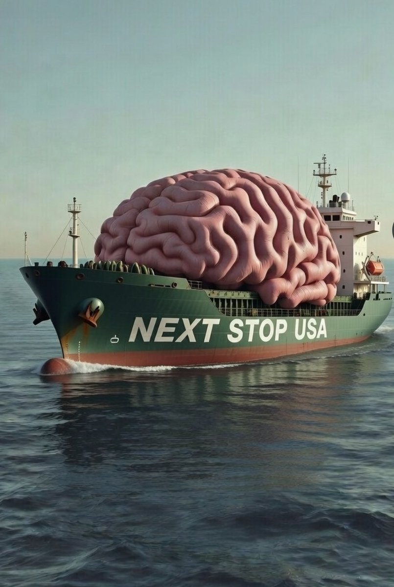 Freyja Kristensen 🇪🇺🇩🇰🇬🇱🇫🇴🇩🇪🇪🇦🇺🇦 tweet media