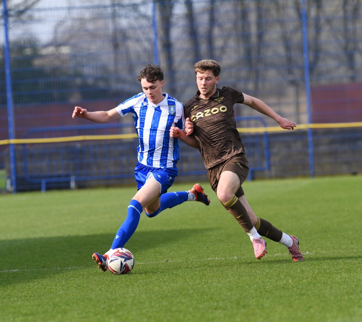 Sheffield Wednesday tweet media