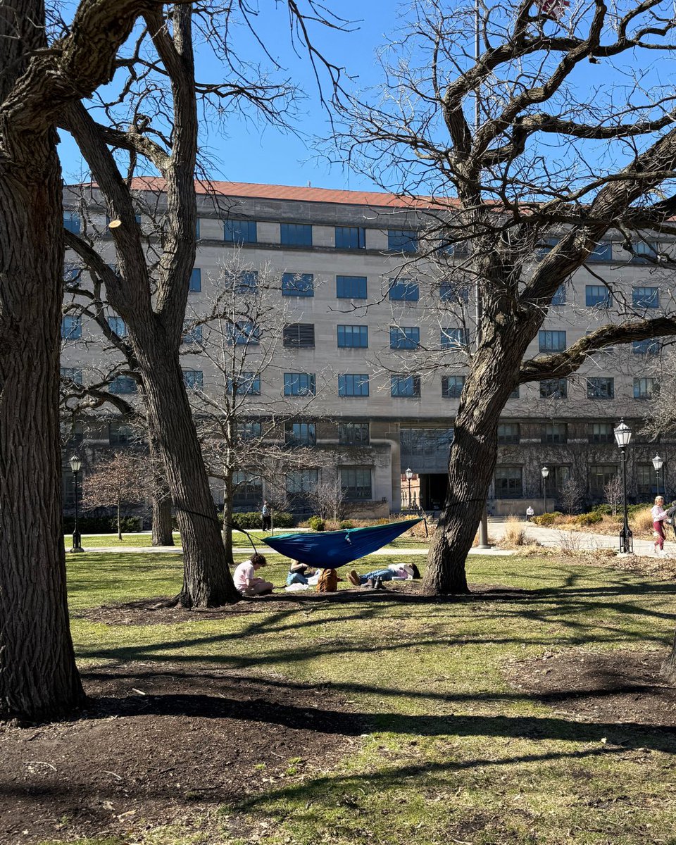 UChicago's tweet image. Happy first day of spring, UChicago!