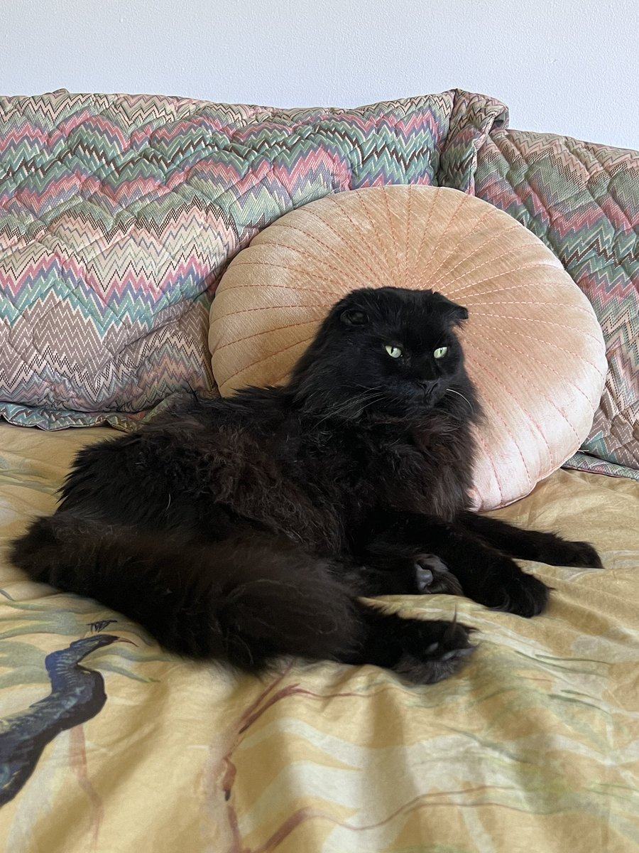 Lexie Mt. 𓅃🎃🦞🍉🍝 tweet media