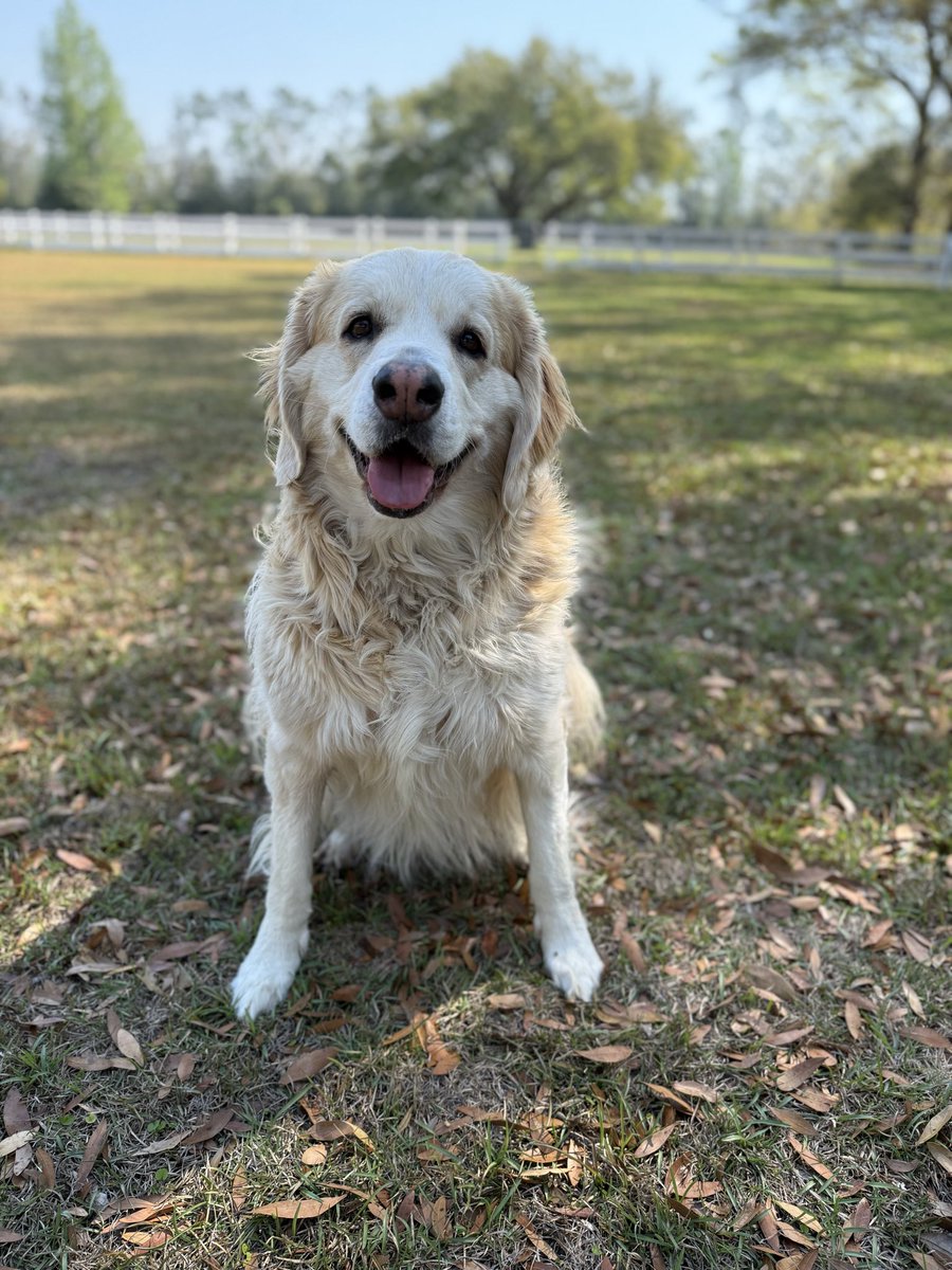 Catturd ™ tweet media