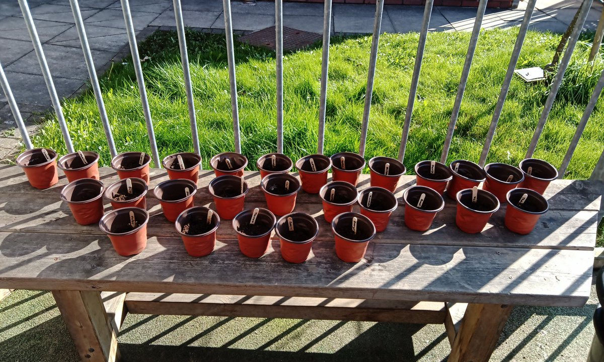 Miss Beswick tweet media