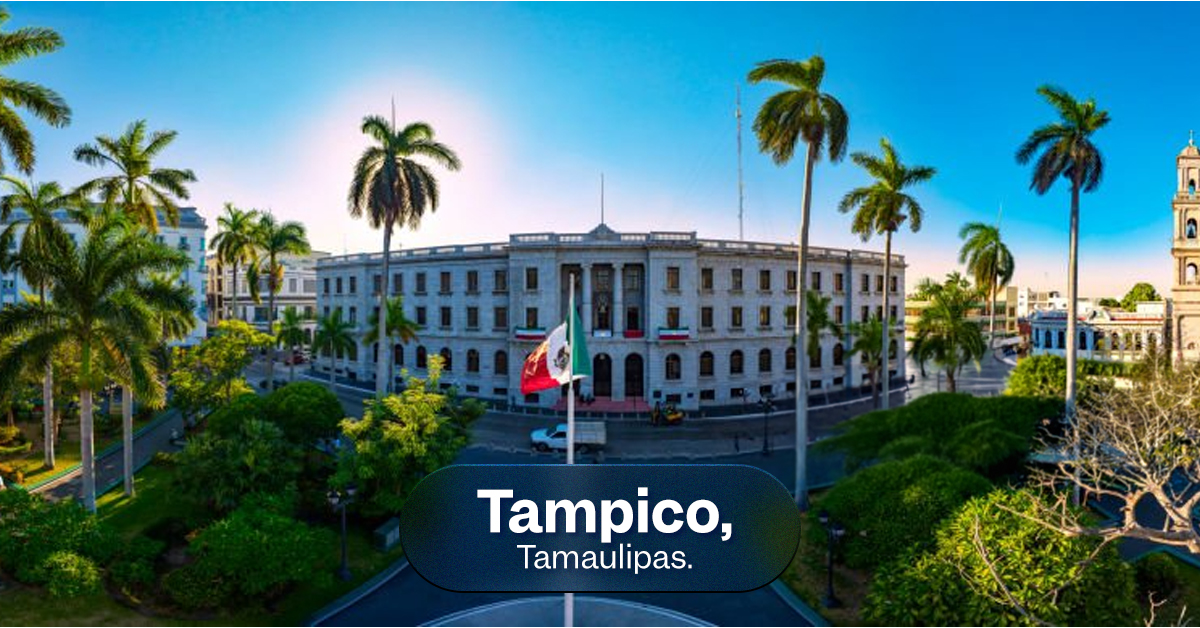 Aeroméxico Rewards tweet media