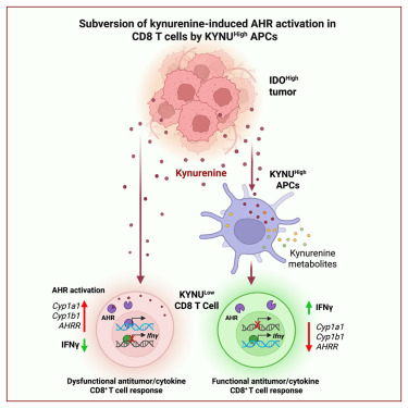 Waggoner Lab tweet media