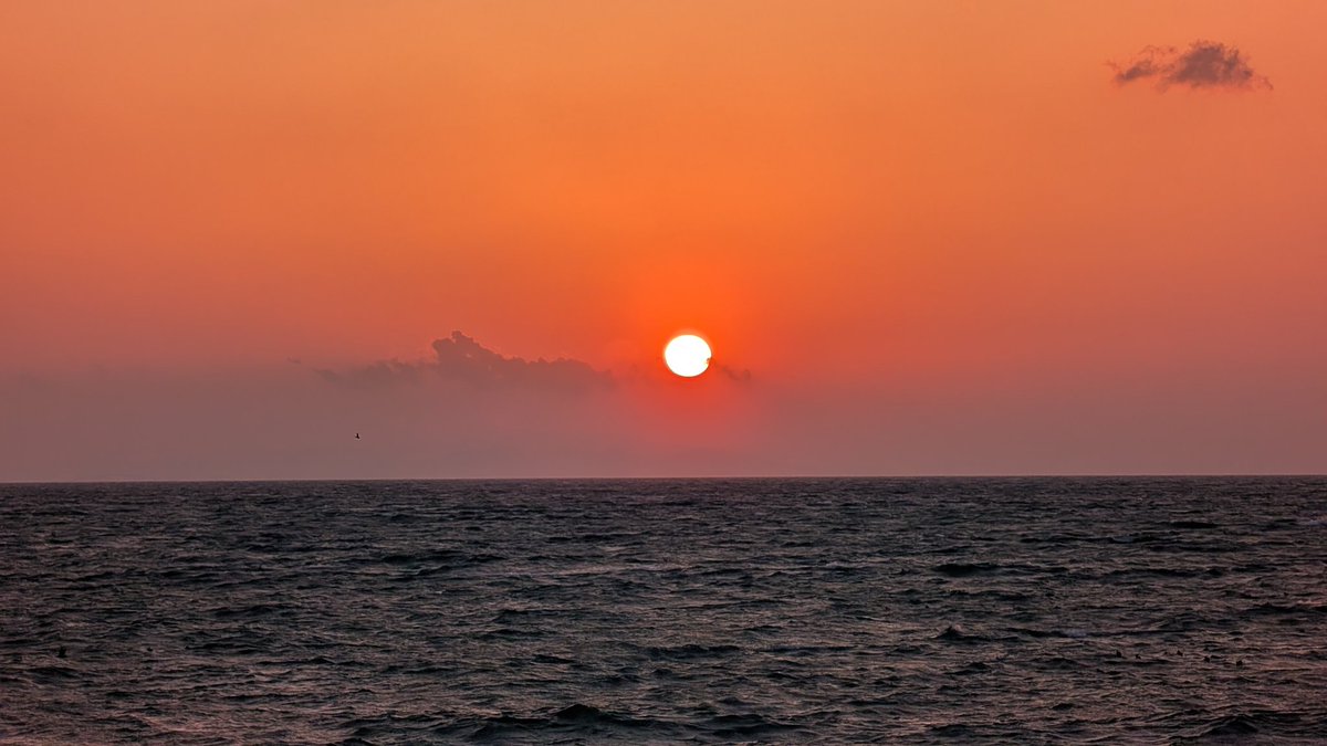 AYA.stylish tweet media