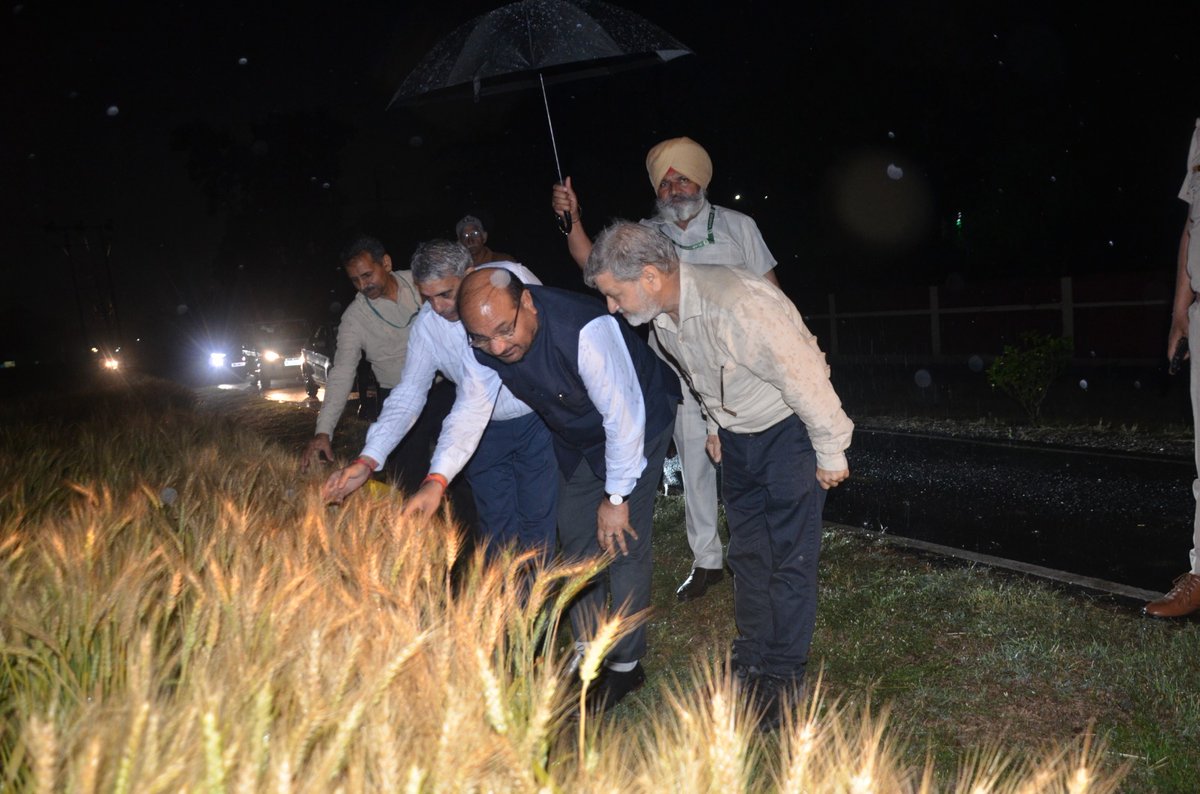 icarindia's tweet image. Dr. M. L. Jat, Secretary, DARE &amp;amp; Director General, ICAR, Visits ICAR-IARI, Regional Centre, Karnal. #icar #sugarcane @AgriGoI @ChouhanShivraj @PIB_India
